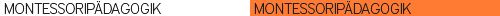 Montessoripädagogik